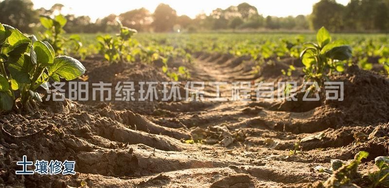 sunbet官网-不凡成就非凡,相信品牌的力量